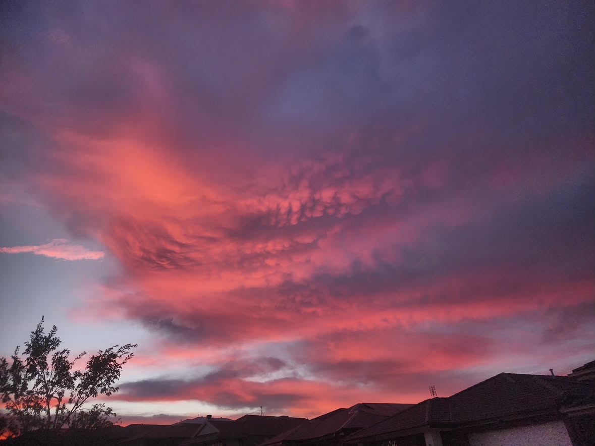 Magenta mammatus clouds ripple across the sky above silhouetted rooftops and a lone tree.