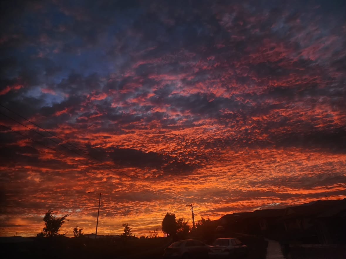 Dense mammatus clouds ignite in shades of orange and crimson over a suburban skyline at dusk.
